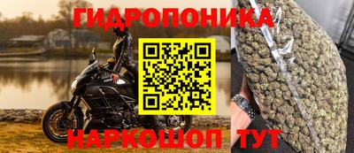 кокаин Кингисепп
