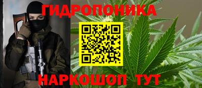 мяу мяу мука Кимры