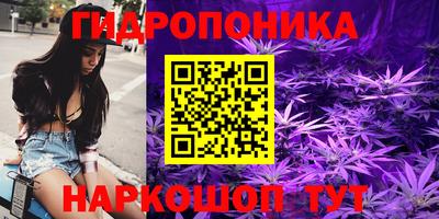 кокаин Кингисепп