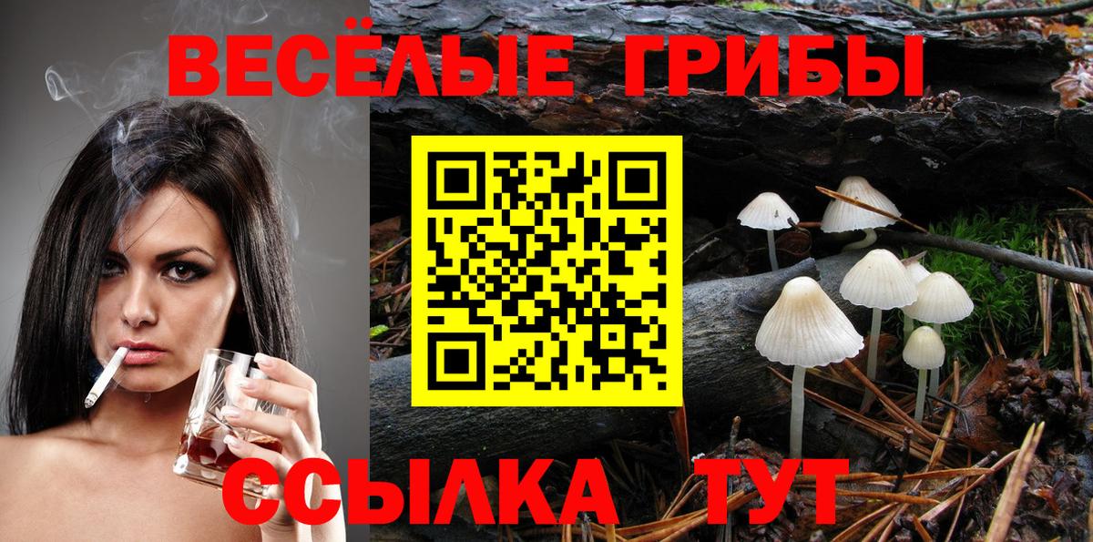 Псилоцибиновые грибы прущие грибы  Псилоцибиновые грибы ЛСД  Вход с VPN  Красноуфимск 
