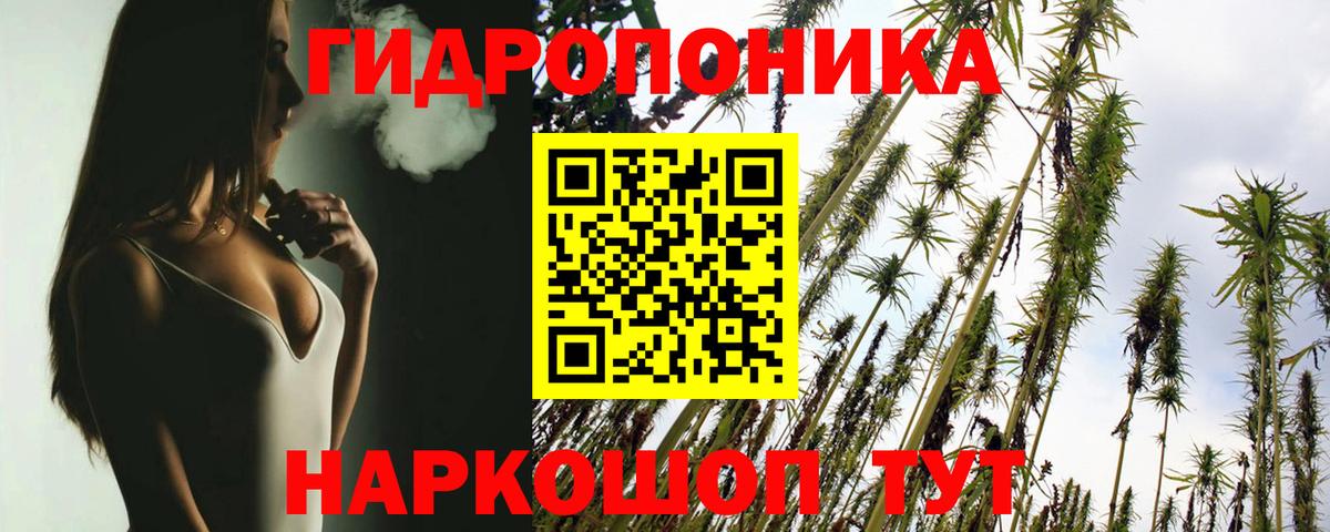 Канабис Amnesia  Марихуана сатива  Вход с VPN  Красноуфимск 